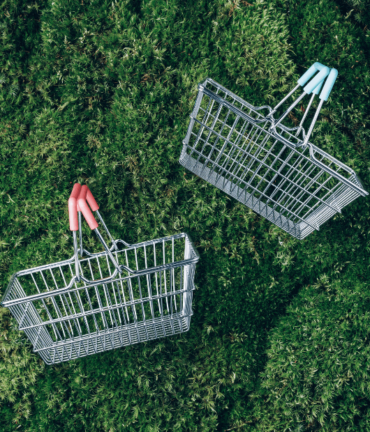 Marketplace de Créditos de Carbono